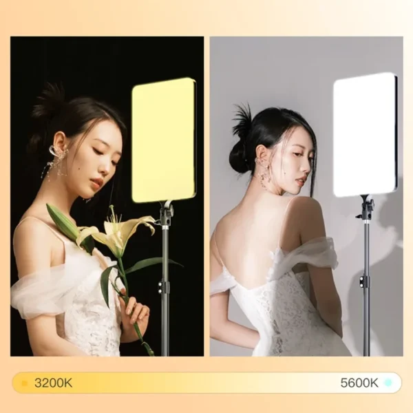RING LIGHT CARE RGB PM60 TAB